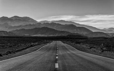 “Lisa’s considerable experience and expertise coupled with the gift to coach and socratically guide people is unparalleled.