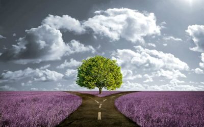 Your January Assignment