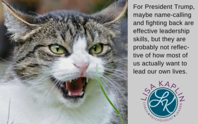 What Exactly is Leadership and How is it Done Well?