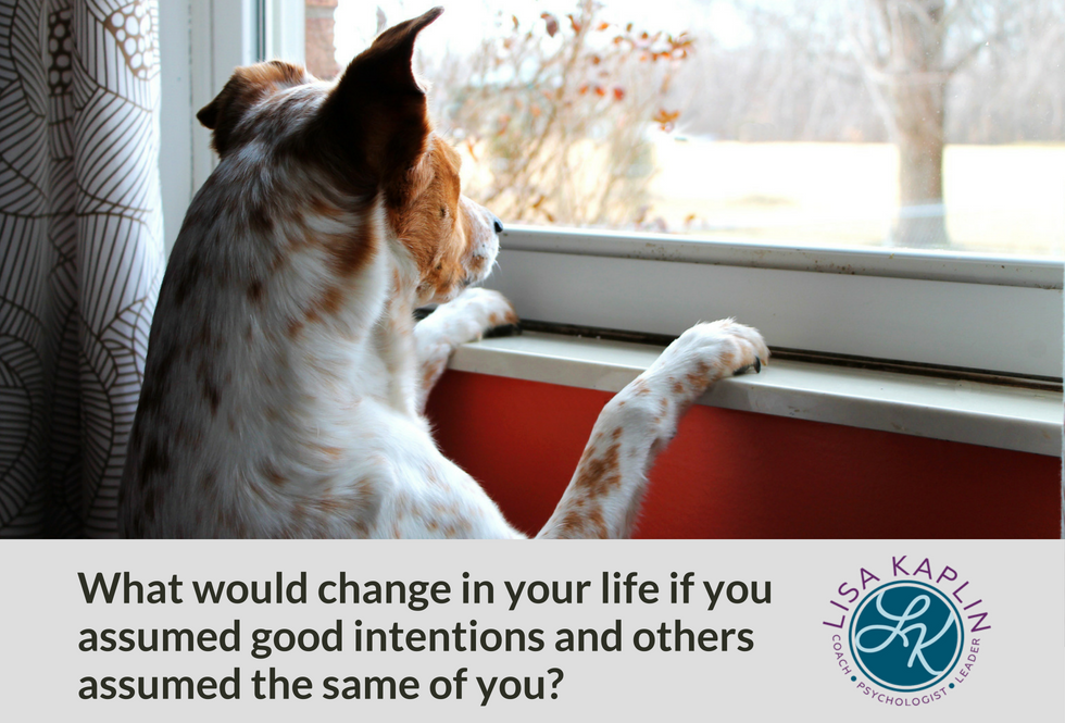 A photo of a white and rust colored dog looking out the window at a snowy landscape.