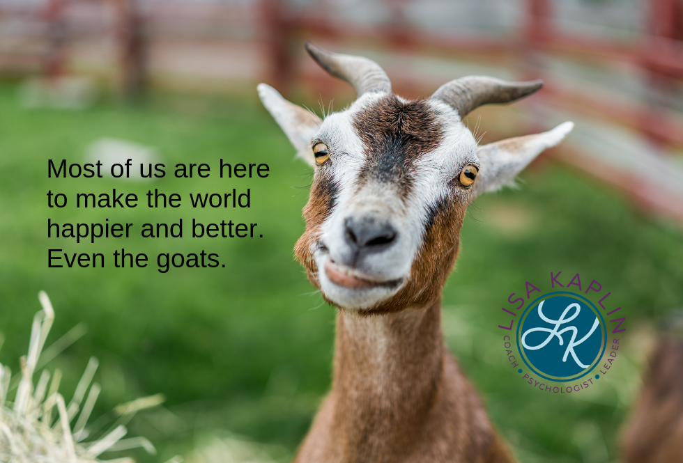 A color photo of a brown and white goat smiling at the camera. To the left of the goat is the text “Most of us are here to make the world happier and better. Even the goats” The Lisa Kaplin logo is to the right of the goat.