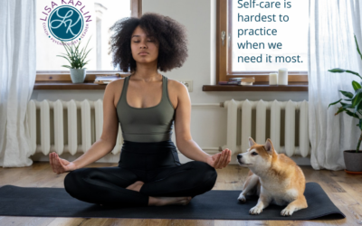 Yoga Revisited—I Came for The Dog