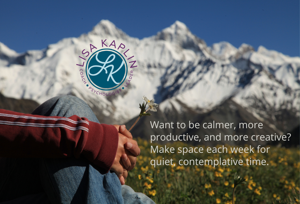 A color photo of snowcapped mountains in the background and a field of wildflowers in the foreground. A person’s arms wrapped around their knee while holding flower is visible in the foreground on the left. The text to the right of their hands reads “Want to be calmer, more productive, and more creative? Make space each week for quiet, contemplative time.” The Lisa Kaplin logo is centered over one of the mountain peaks.