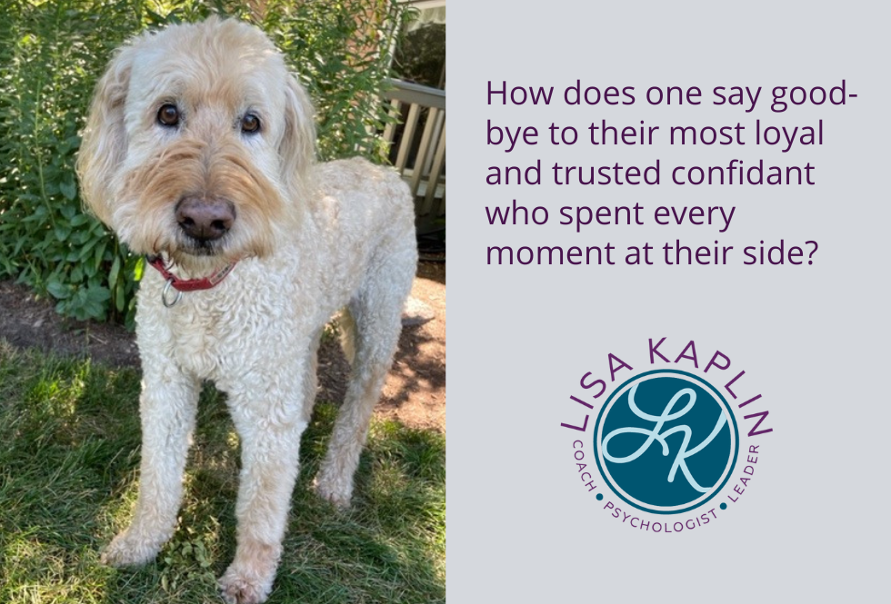 A color photo of Lisa’s Goldendoodle, Ginger, looking straight into the camera with big brown puppy eyes. She is standing outside with grass and green plants surrounding her. The text on to her right reads “How does one say good-bye to their most loyal and trusted confidant who spent every moment at their side?” The Lisa Kaplin logo is beneath the text.