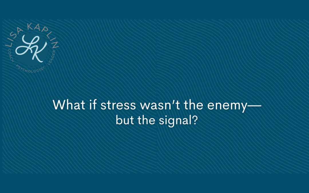 Stress Doesn’t Have To Run The Show