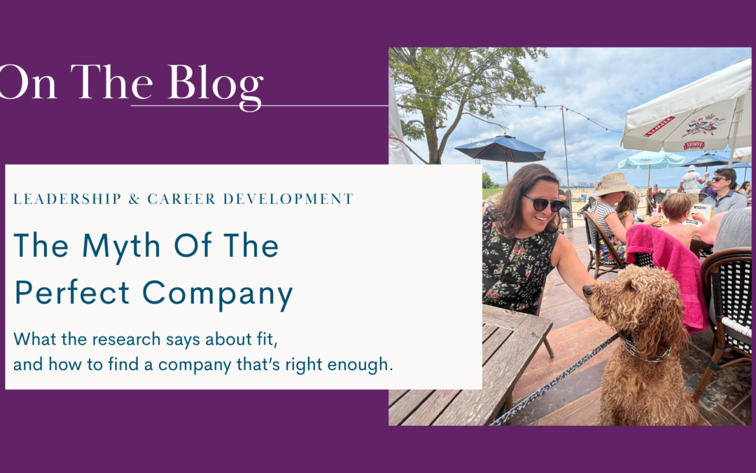 The Myth Of The Perfect Company